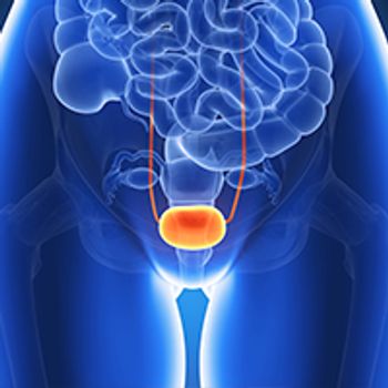 3d rendered illustration - bladder cancer: © Sebastian Kaulitzki - stock.adobe.com