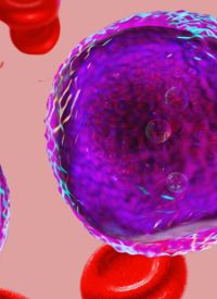 CBF-AML | Image credit: © Motion Pics - stock.adobe.com