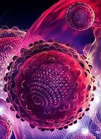 Acute Myeloid Leukemia