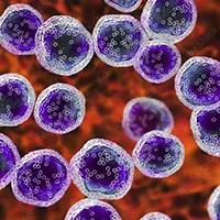 Image Credit: ©Dr_Microbe - stock.adobe.com