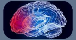 New Genetic Biomarker Flags Aggressive Brain Tumors