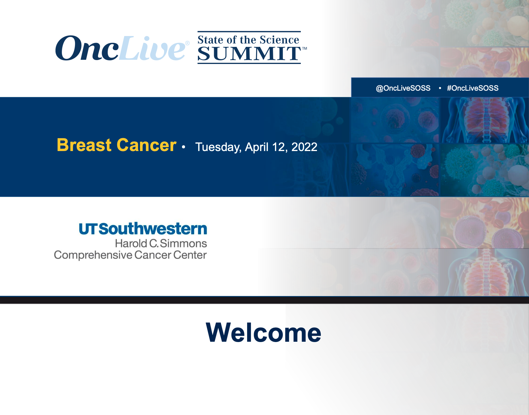 State of Science Summit- Breast Cancer: Chaired by Heather McArthur, MD