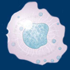 NK Cell–Targeting Strategies Come Into Their Own