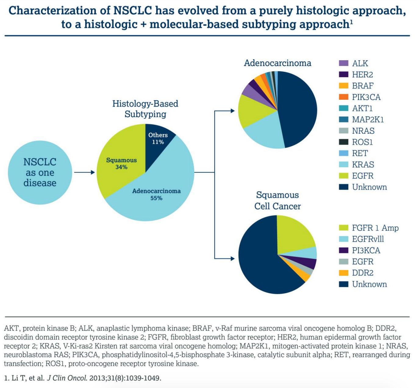 Non-Small Cell Lung Cancer: What's on the Horizon?