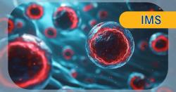 Belantamab Mafodotin/Lenalidomide Maintenance Displays Manageable Eye Toxicity Profile in Newly Diagnosed Myeloma