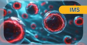 Multiple Myeloma | Image Credit: © Nicat - stock.adobe.com