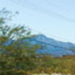 Desert Harmony: Urological Associates of Southern Arizona Strives for Collaborative Cancer Care