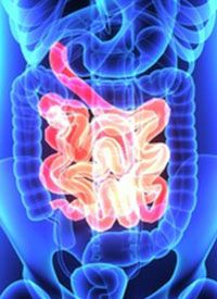 Zolbetuximab Plus mFOLFOX6 Improves Survival in Claudin 18.2+ Gastric