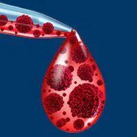LP-284 showed superior antitumor activity compared with LP-184 independent of PTGR1 expression levels in DNA damage repair–deficient mantle cell lymphoma cell lines.