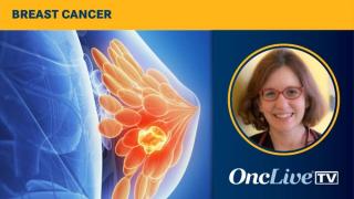Personalized Approaches to Decreasing Breast Cancer Disparities | Image Credit: © Sebastian Kaulitzki - stock.adobe.com
