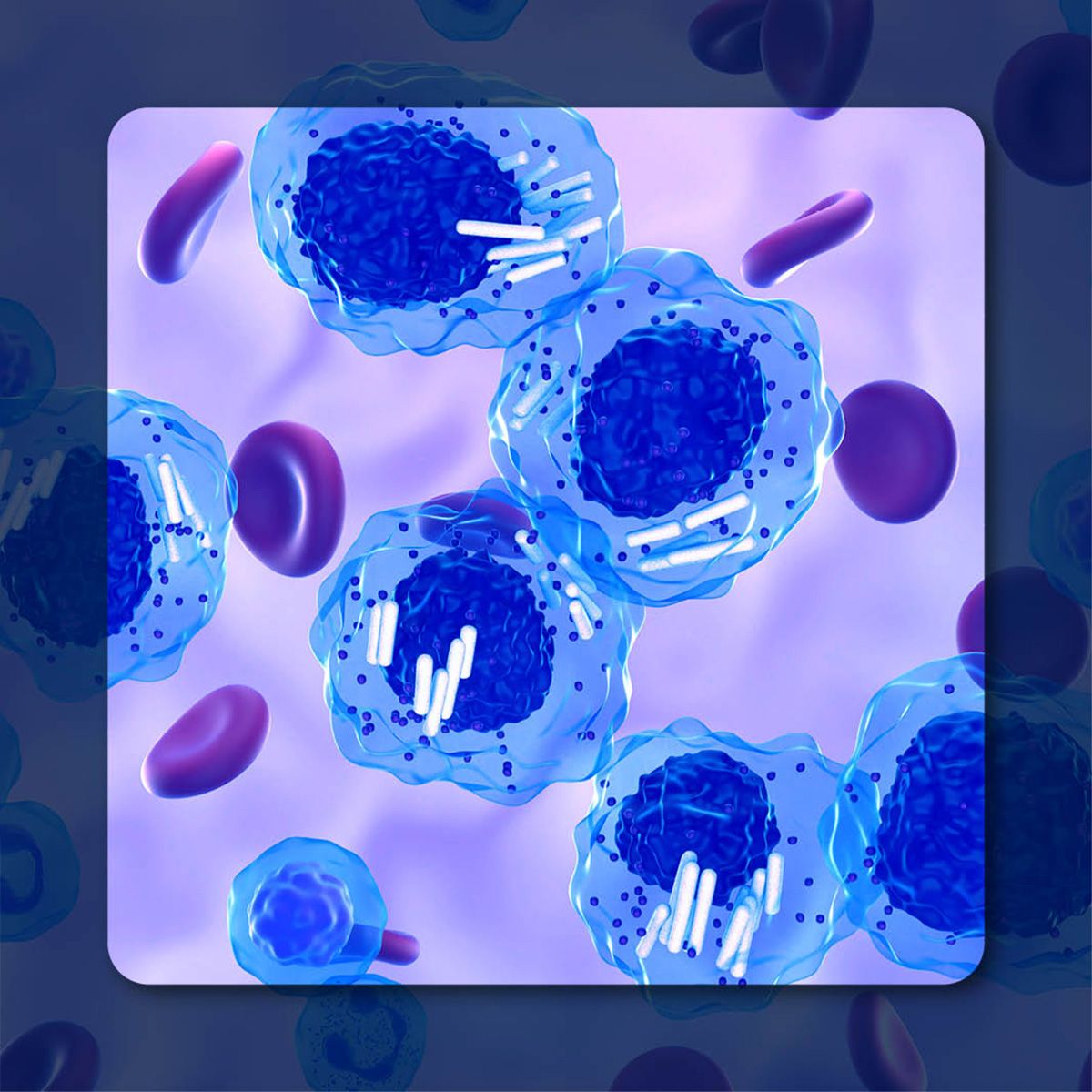 Chronic Lymphocytic Leukemia | © LASZLO– stock.adobe.com