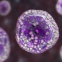 The Ministry of Health, Labour, and Welfare has accepted a supplemental new drug application for lisocabtagene maraleucel for the second-line treatment of patients with relapsed or refractory large B-cell lymphoma.