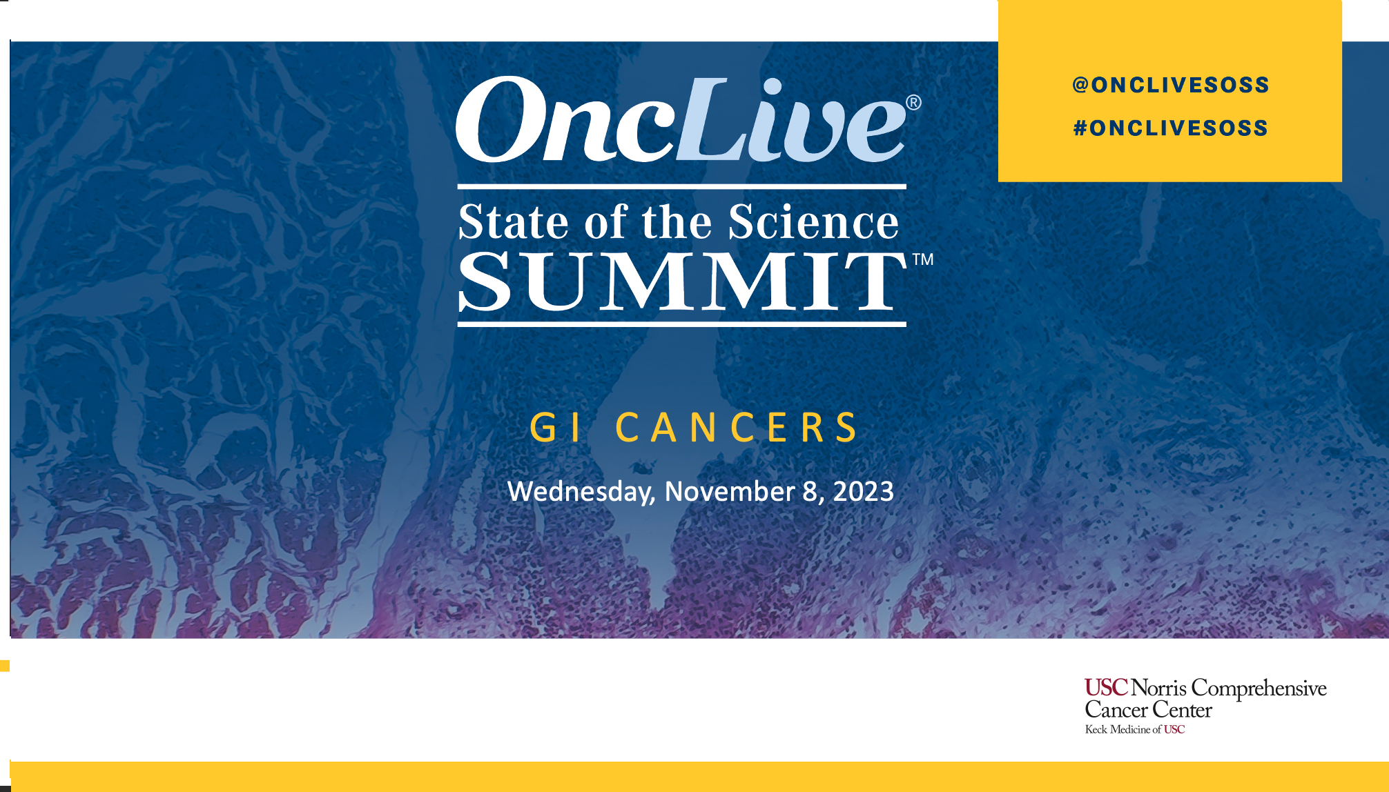 State of the Science Summit - Gastrointestinal Cancers: Chaired by Syma Iqbal, MD, and Anthony El-Khoueiry, MD