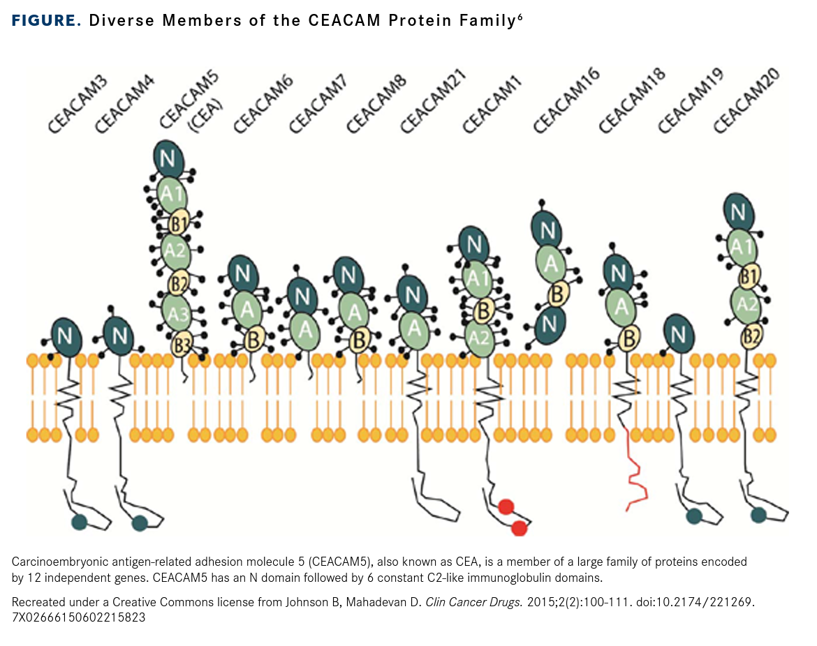 CEACAM5 Joins a Growing Menu of Emerging Lung Cancer Targets