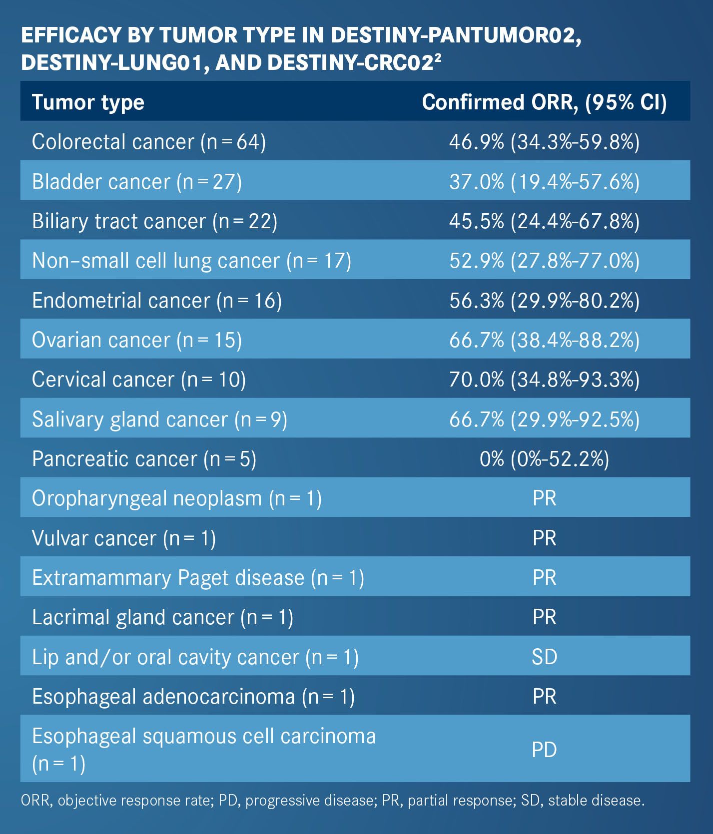 Veterinary Oncology 11 犬の疾患鑑別診断リスト - メルカリ