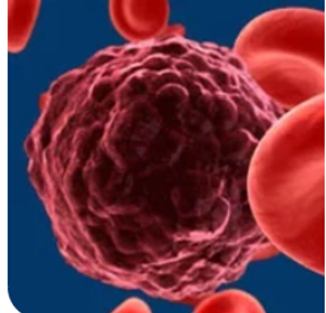 Transplantation Using Haploidentical Donors Outperforms Matched Sibling Donors in MRD+ ALL