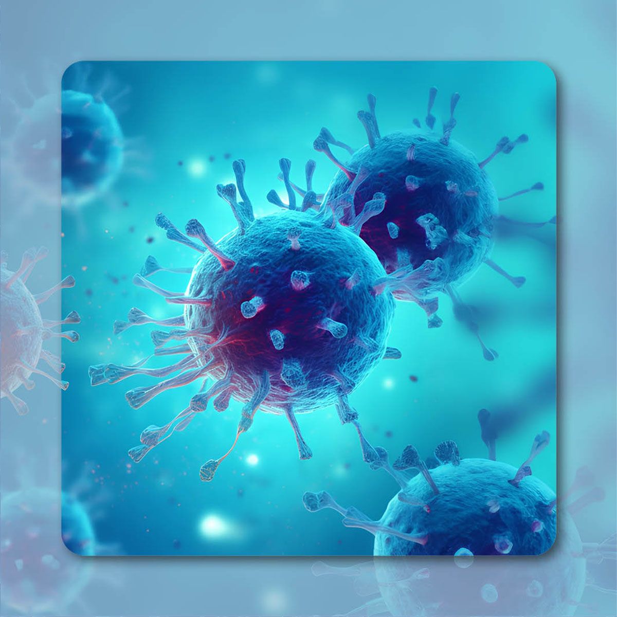 NDI-101159 in Heavily Pretreated RCC