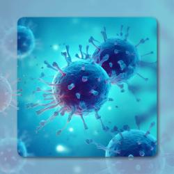 NDI-101150 Demonstrates Antitumor Activity, Safety in Heavily Pretreated RCC