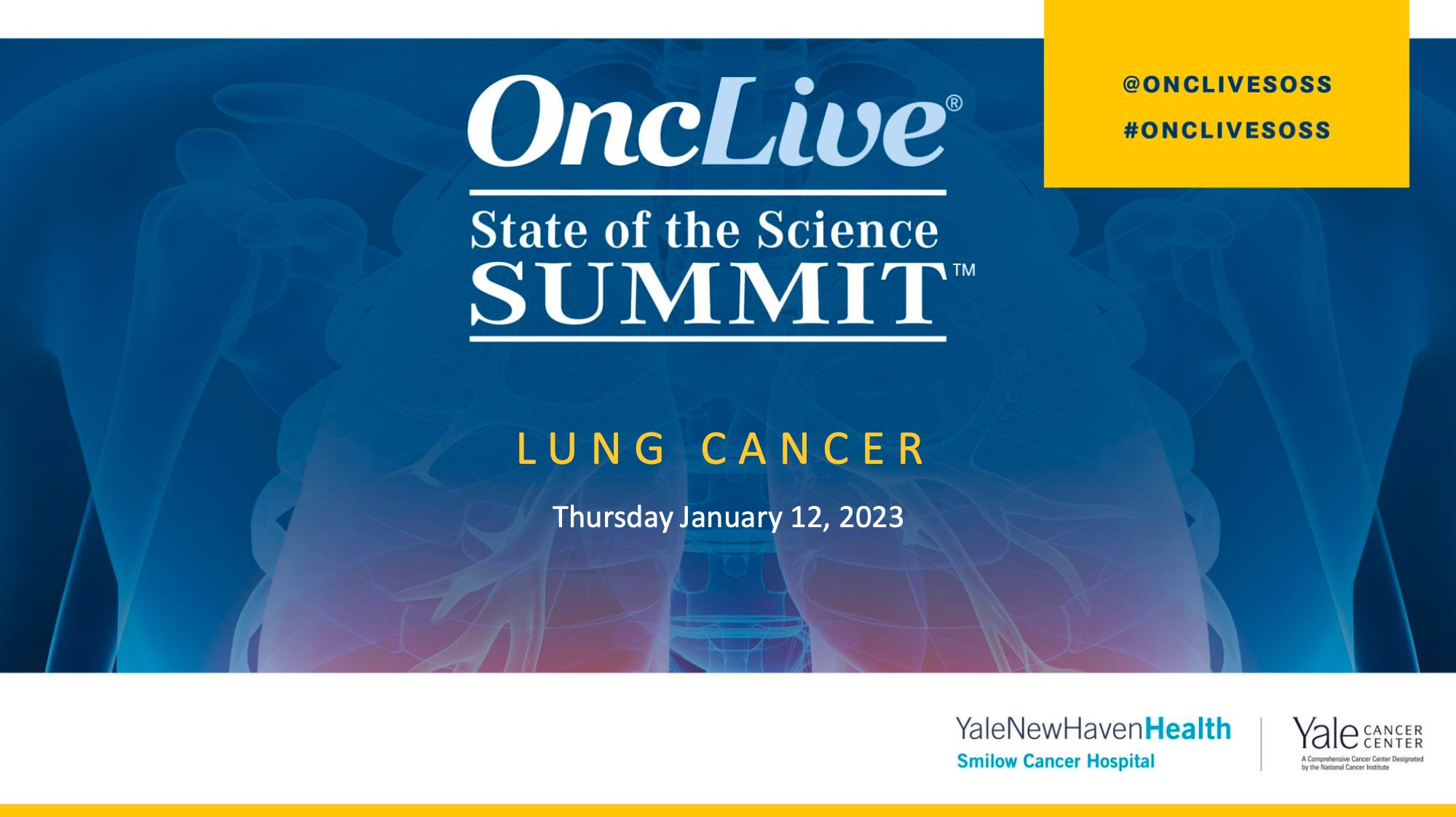 State Of Science Summit- Lung Cancer: Chaired By Sarah Goldberg, MD ...