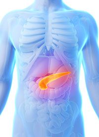 Pancreas