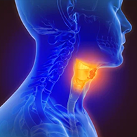 Versamune HPV + Pembro in HNSCC ©Lars Neumann- stock.adobe.com