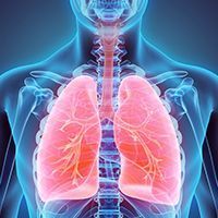 Tiragolumab Plus Atezolizumab in PD-L1–High NSCLC | Image Credit: © yodiyim - stock.adobe.com
