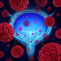The clinical development of Vicineum for use as a potential therapeutic option in patients with high-risk, Bacillus Calmette-Guérin–unresponsive non–muscle invasive bladder cancer.