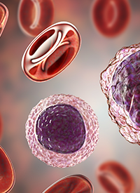 HR001 in NHL | Image Credit: © Dr_Microbe - stock.adobe.com