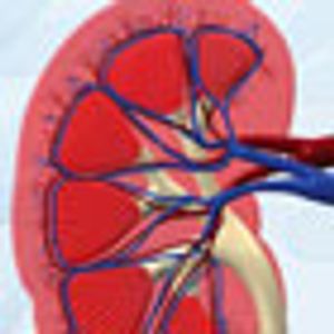Partial Nephrectomy Remains Underutilized, Despite AUA Endorsement