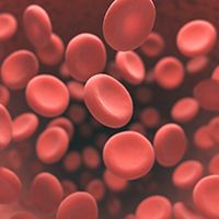 Weight-Based Dosing With Narsoplimab Is Recommended in HSCT-TMA