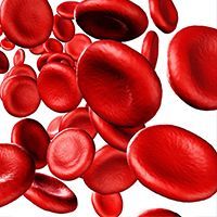Itolizumab showed the potential to decrease the response of host T cells to a donor graft, minimize the incidence of acute graft-vs-host disease following hematopoietic stem cell transplantation, and improve outcomes for these patients.