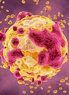 Trop-2 Directed Antibody-Drug Conjugates for the Treatment of Solid Tumors 