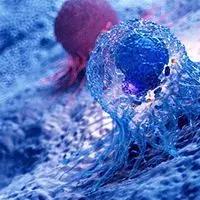 Metastatic Castration-Resistant Prostate Cancer | Image Credit: © SciePro - stock.adobe.com