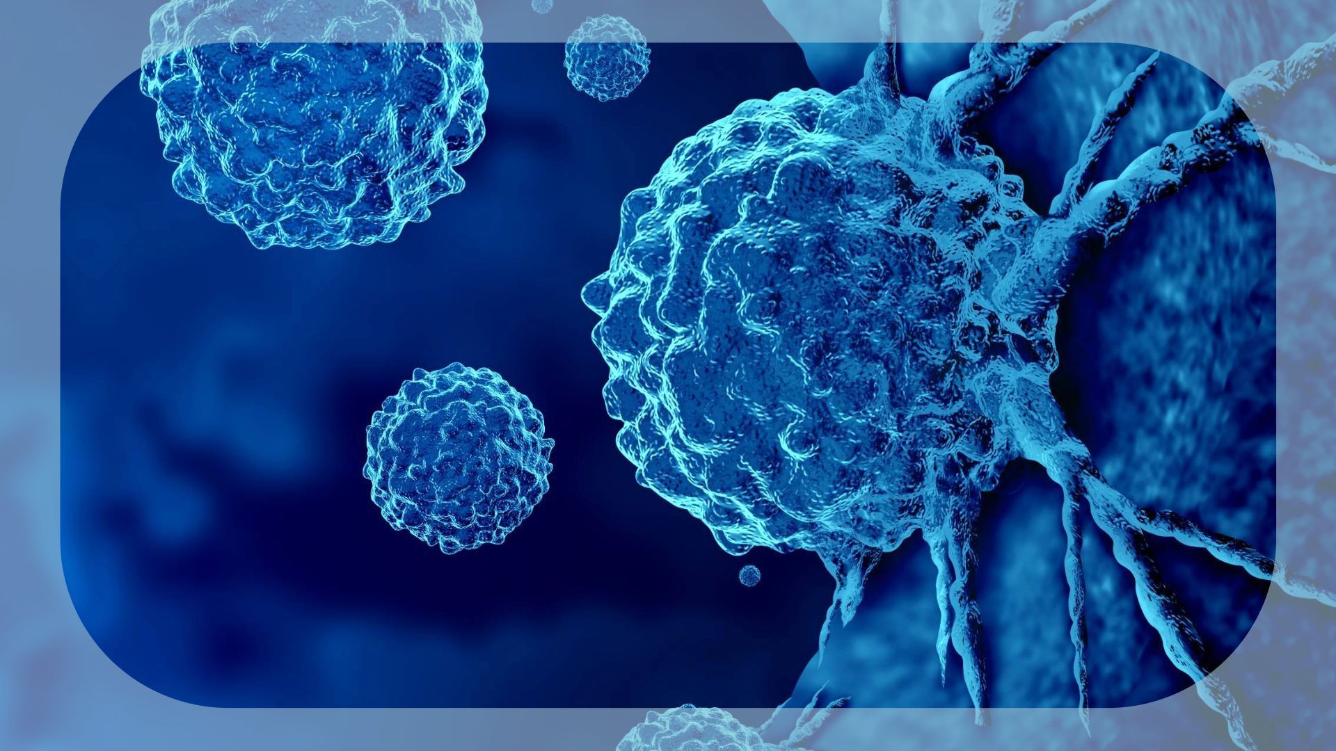  Image Credit:   © freshidea - stock.adobe.com