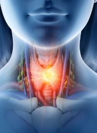 Head and Neck Cancer | Image Credit: © Sebastian Kaulitzki - stock.adobe.com