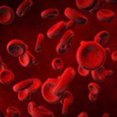 New data ranging from up-front approaches with targeted therapy to maintenance therapy, as well as emerging findings with novel agents continue to push the paradigm forward in acute myeloid leukemia and higher-risk myelodysplastic syndromes.