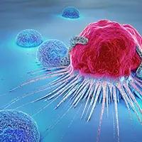 B7-H4 in Solid Tumors | Image Credit: © Christoph Burgstedt - stock.adobe.com