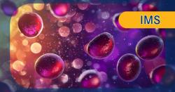 Fixed-Duration Cevostamab After CAR T-Cell Therapy Is Well Tolerated in Heavily Pretreated Myeloma