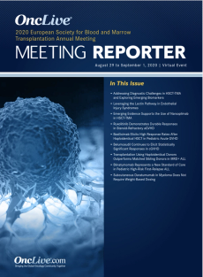 EBMT Meeting Reporter