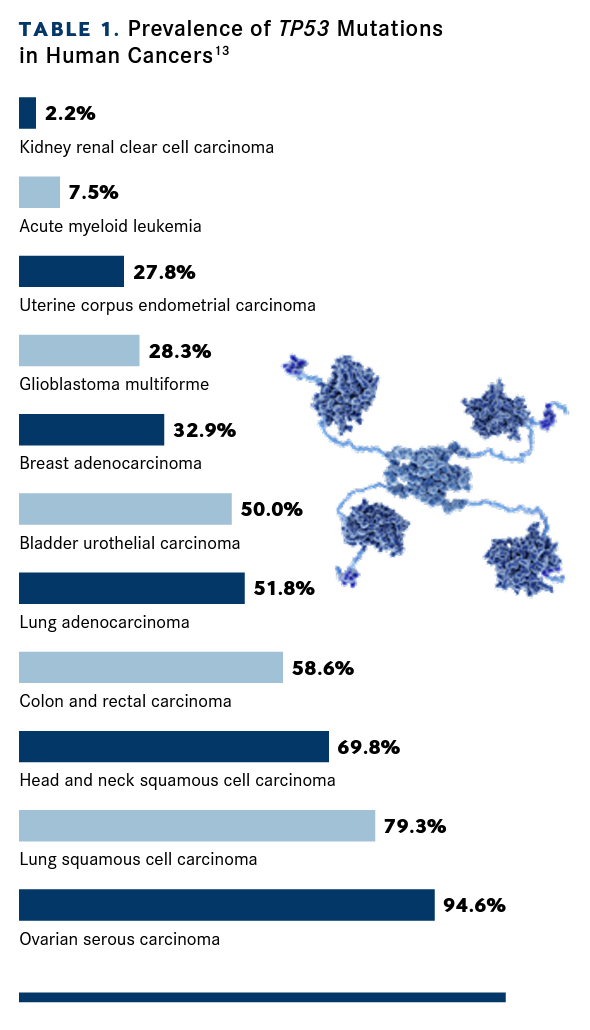 Prevalence of TP53 Mutations in Human Cancers13