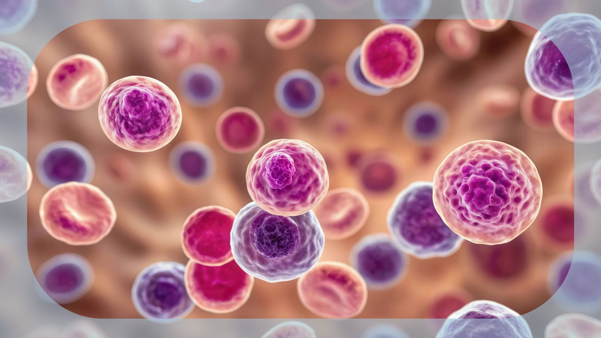 R/R CLL/SLL | Image credit: © Brighting Collection - stock.adobe.com