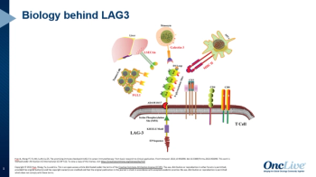 Recent Advances in the Evolving Treatment Landscape of Melanoma