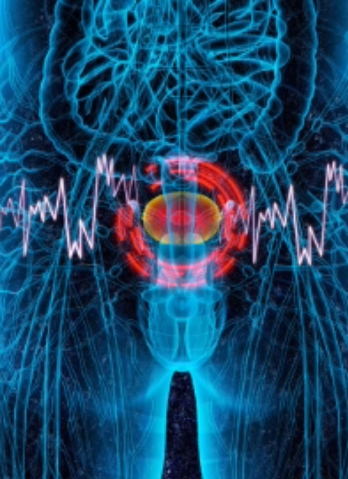 Phase 3 KEYNOTE-905 and IMvigor011 Trials Signal New Standards in MIBC |  OncLive