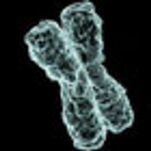 MEK and BRAF Therapy Combo Promising for Advanced Melanoma