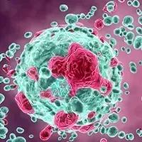 Surufatinib/Toripalimab Combo Elicits Encouraging Efficacy in Advanced Neuroendocrine Carcinoma