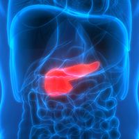 GVAX Cancer Vaccine Plus Nivolumab and Urelumab in Pancreatic Adenocarcinoma | Image Credit: © magicmine - stock.adobe.com