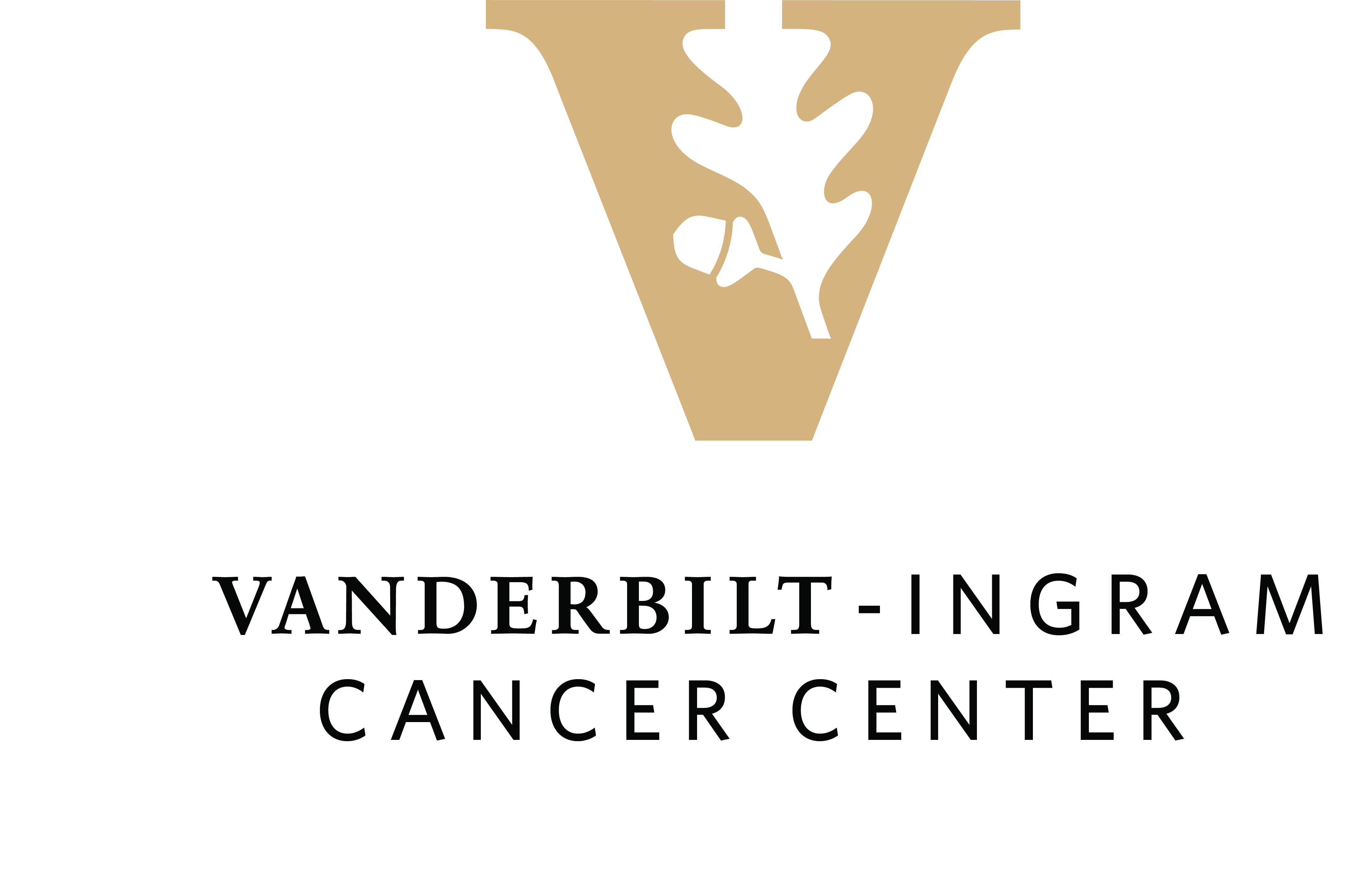 Partner | Cancer Centers | <b>Vanderbilt-Ingram Cancer Center</b>