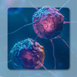 MT-8421 Displays Acceptable Safety Profile in First-in-Human Trial for Advanced Solid Tumors