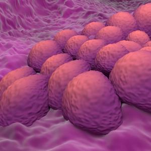 Rina-S in Platinum-Resistant Ovarian Cancer | Image Credit: © LASZLO - stock.adobe.com