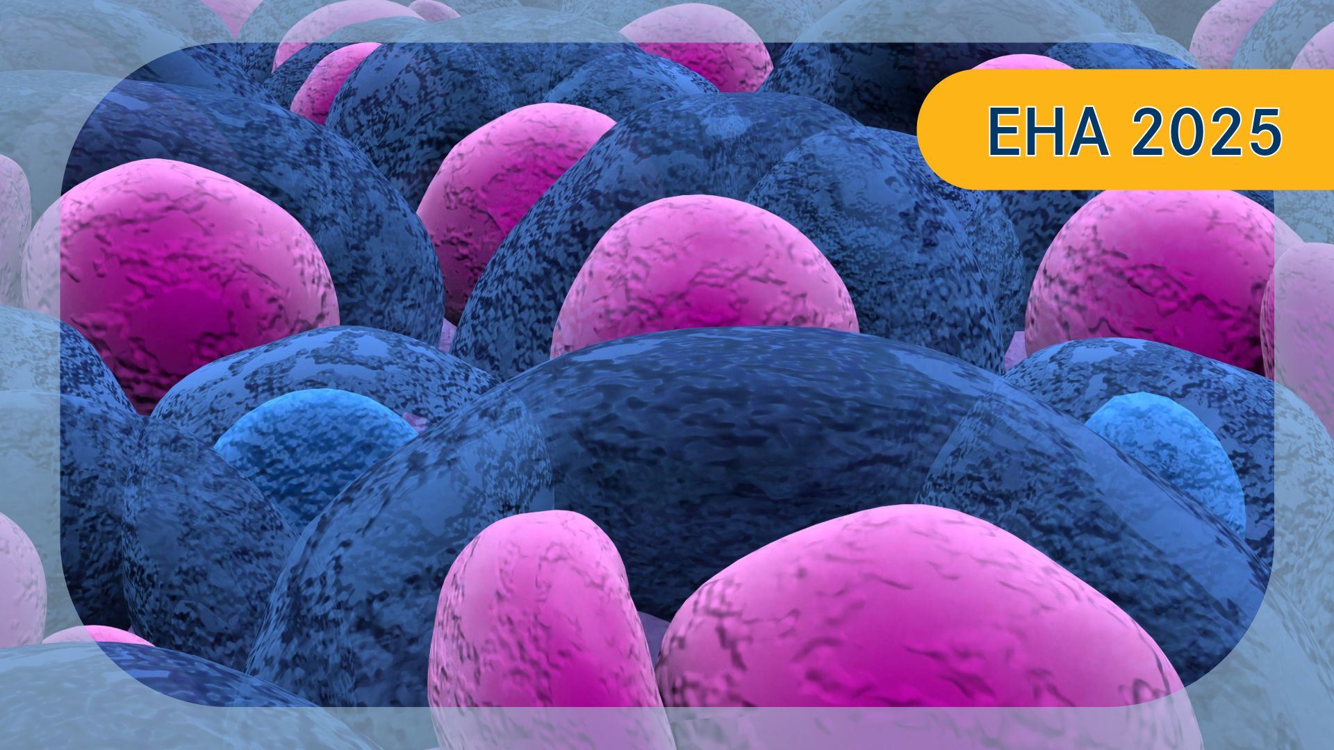 Newly Diagnosed Multiple Myeloma |   Image credit: © LASZLO - stock.adobe.com